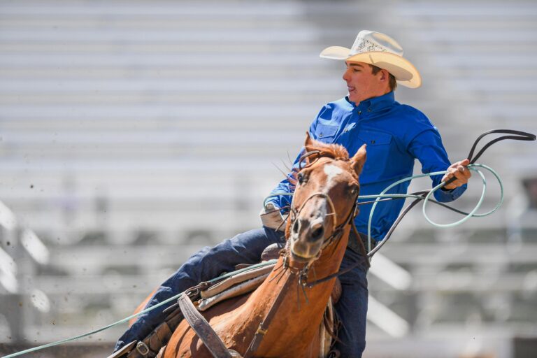 Tyler Tryan turning a steer for Logan Moore at the 2024 Reno Rodeo.