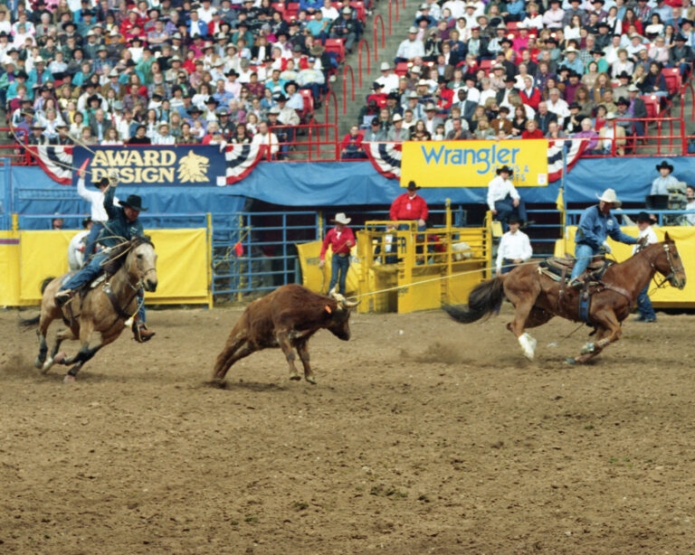 NFR Horses