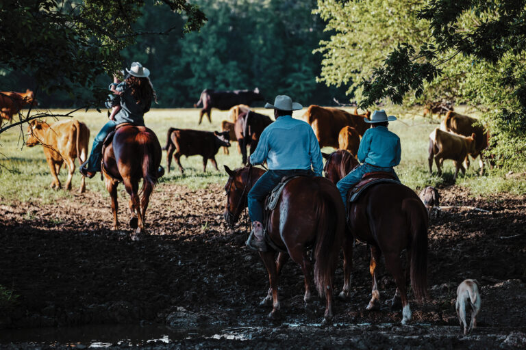Sept_24_crtsyTierneyPerkins_0C3A21792