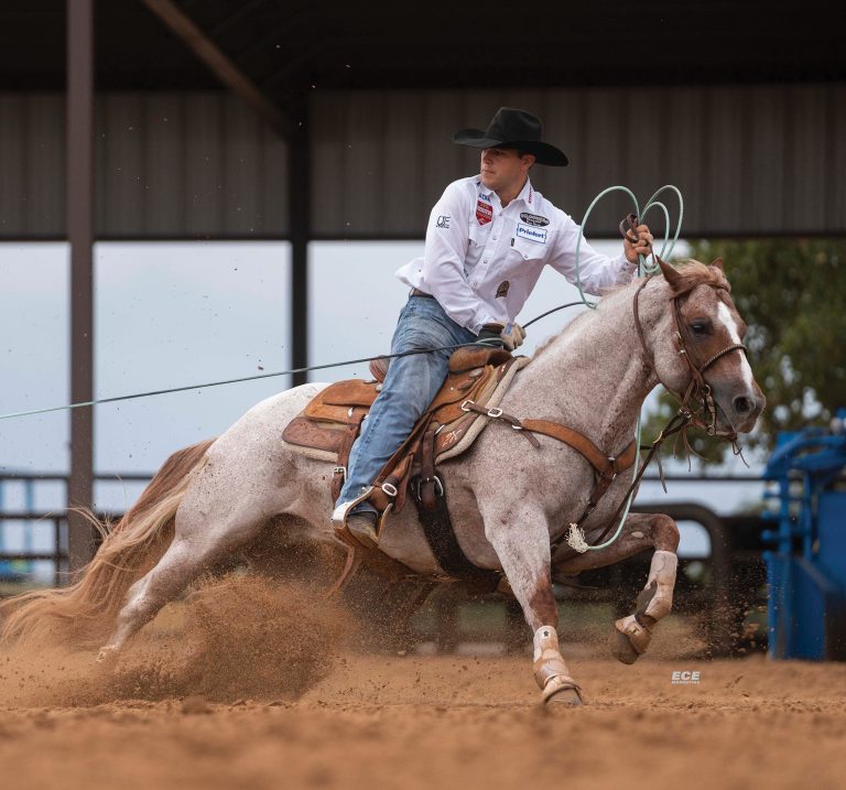 Clay Smith heading on roan stallion Bet Hesa Ginnin.