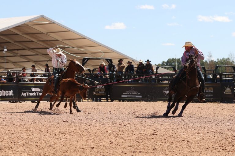Marcus Theriot turning a steer for Cole Curry to win the 2023 WCRA Rodeo Carolina.