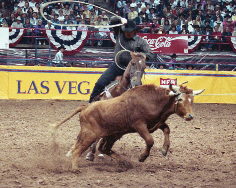 Team roper Bobby Harris heeling