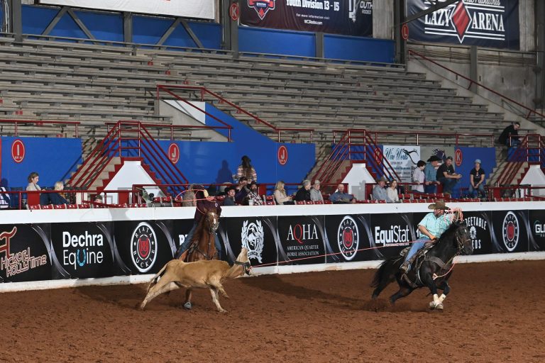 Stallion Four Chex Bay team roping