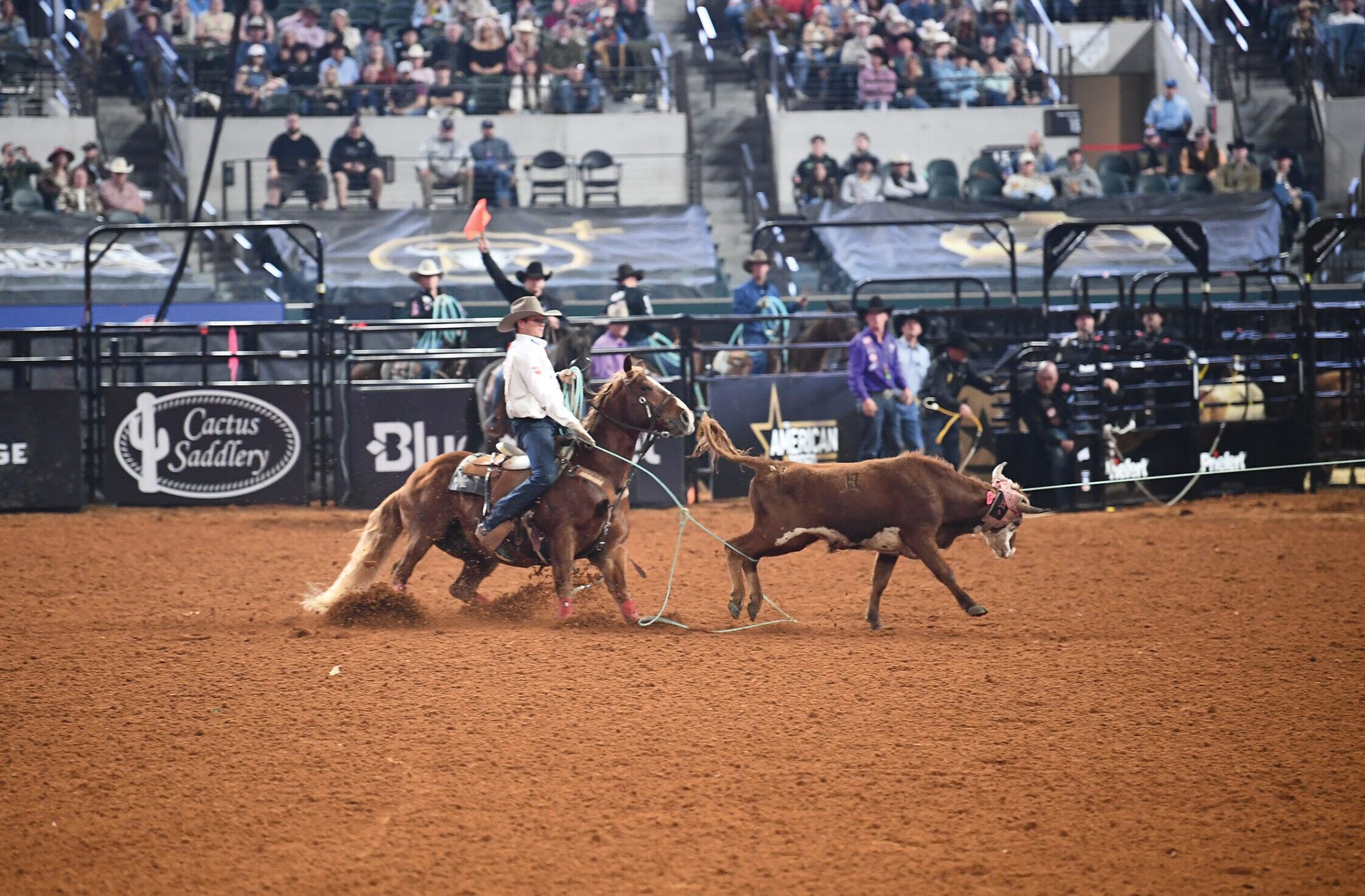 Hunter Koch heeling on Casino at the 2024 The American