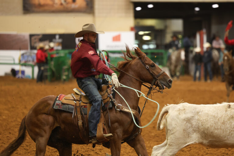Hunter Koch brought two horses back to the Heeling Short Go; Rockk Star (pictured) and Canteburys Cherry.