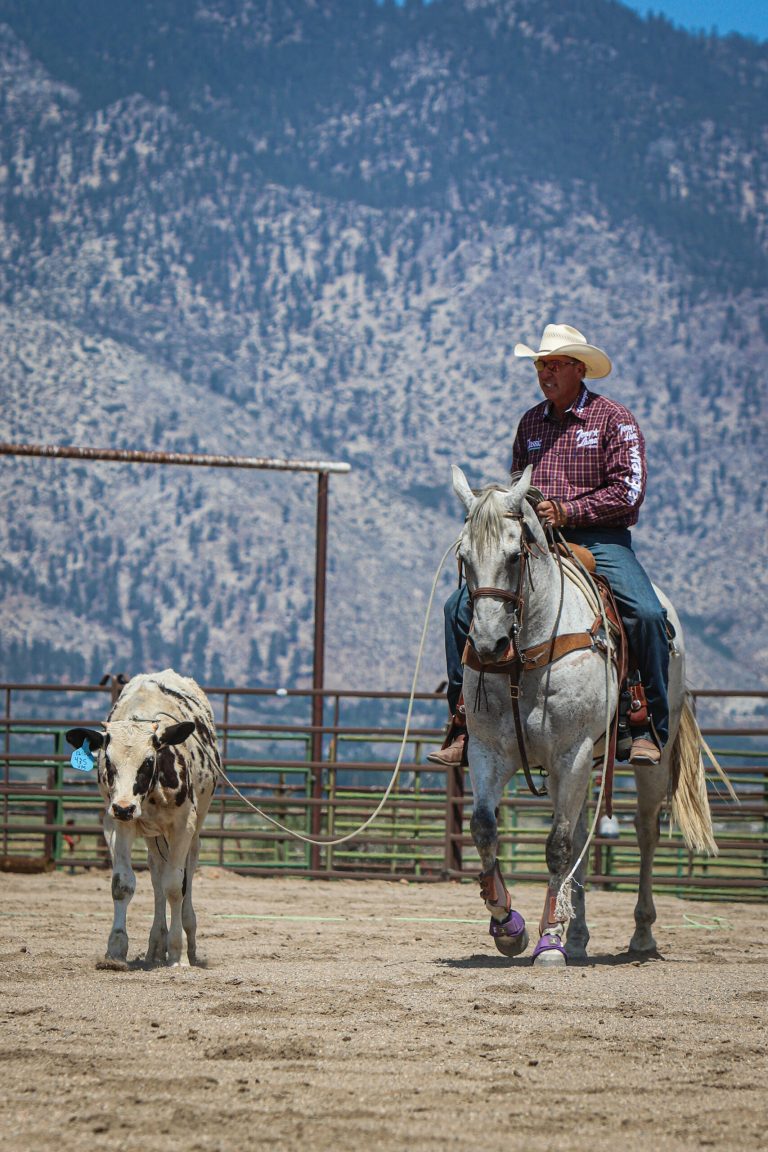 Jake Barnes riding a grey horse in an outdoor arena, following a roping steer.