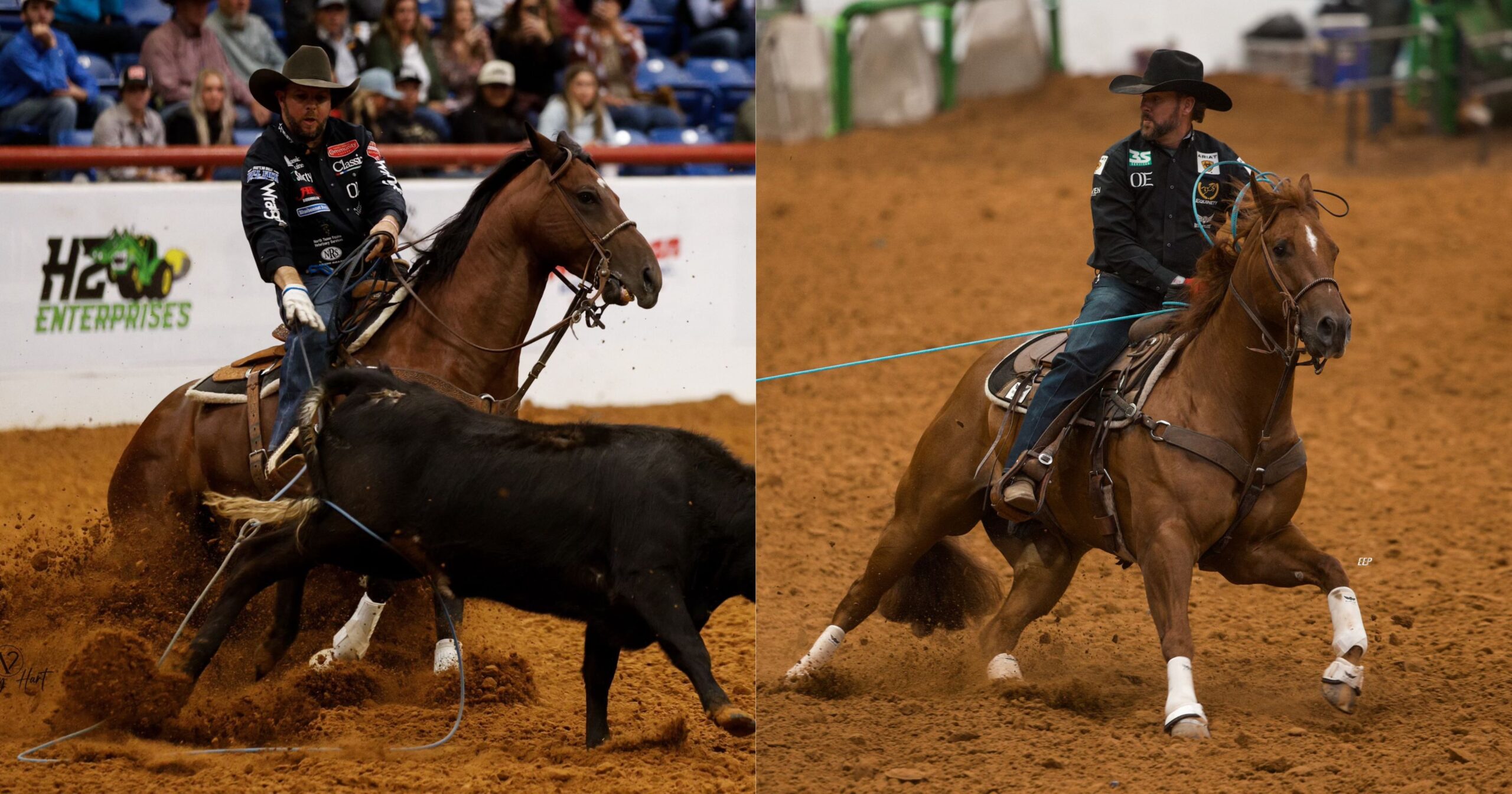 Two Gunners Special Nite progeny—One Nite Special and RR Gunners Affair—swept the 2024 ARHFA Heading and Heeling titles with Joseph Harrison and Trevor Brazile.