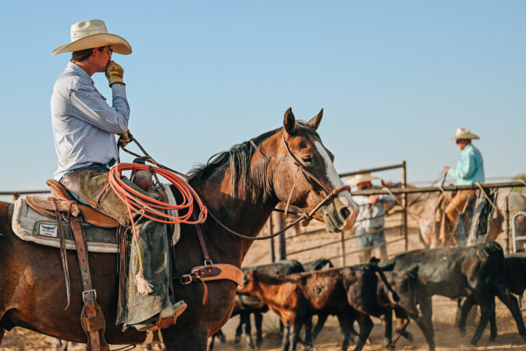 Jan_24_BGPR_2023 Muleshoe Ranch
