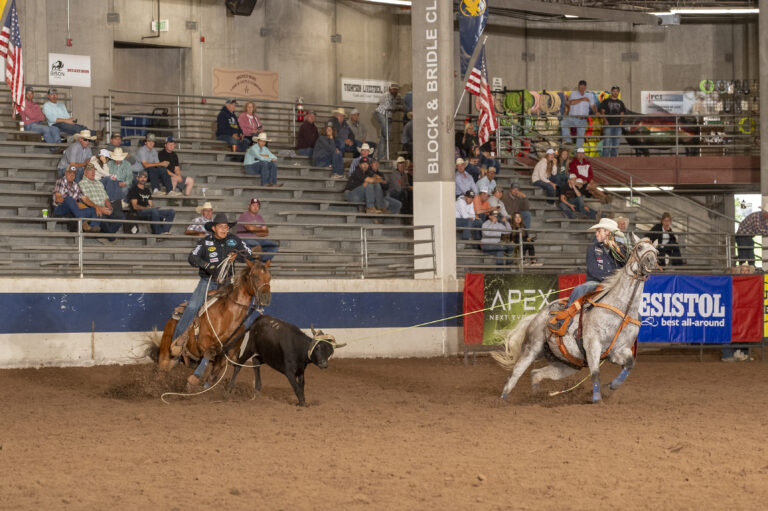 Braden Schmidt and Michael Eugenio Calmelat roping at the 20203 The Daddy in Cheyenne.