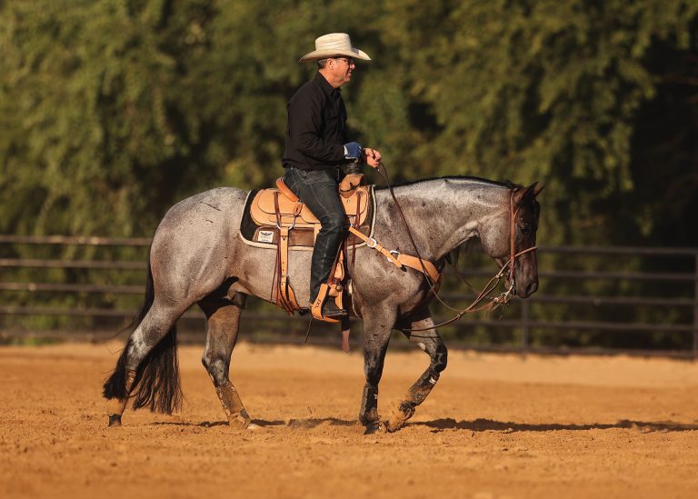 Trevor Brazile riding bay roan stallion Pride and Joyy