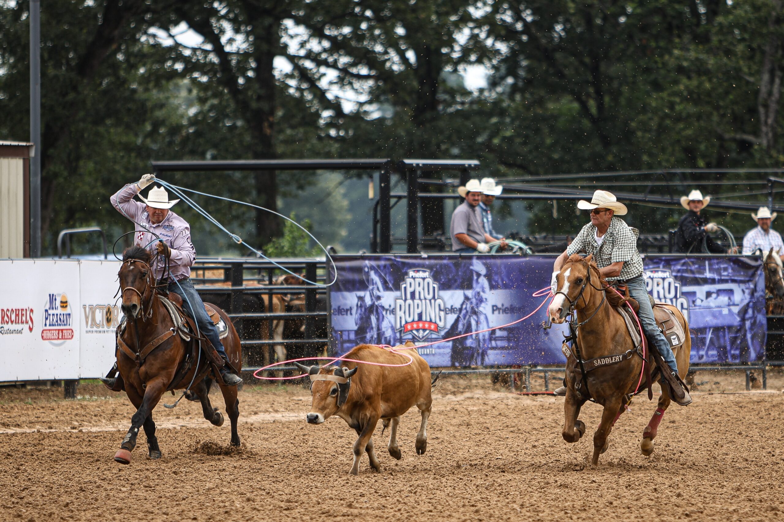Priefert Ranch Pro Roping 2024