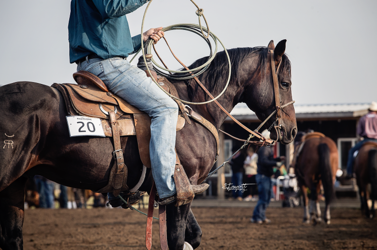2023 breeders guide hillbilly hallows ranch_