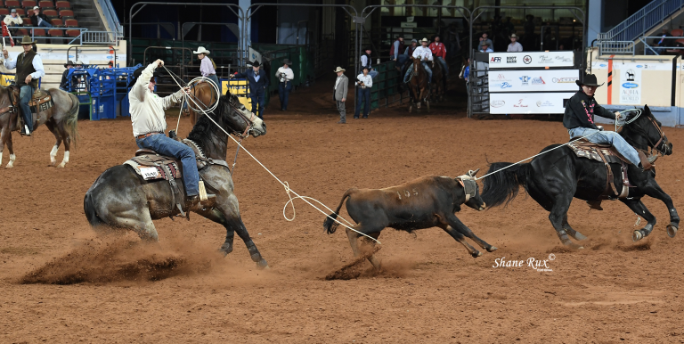 2023 breeders guide probably a shiner_shane rux photo