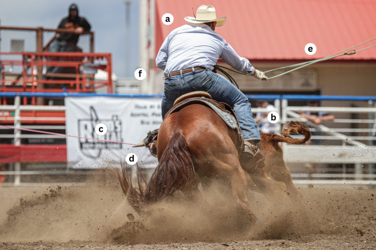 Cooper Freeman heeling at the 2024 Cody Stampede