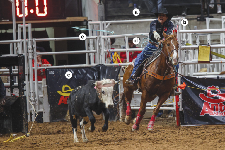 Derrick Begay Freeze Frame San Antonio