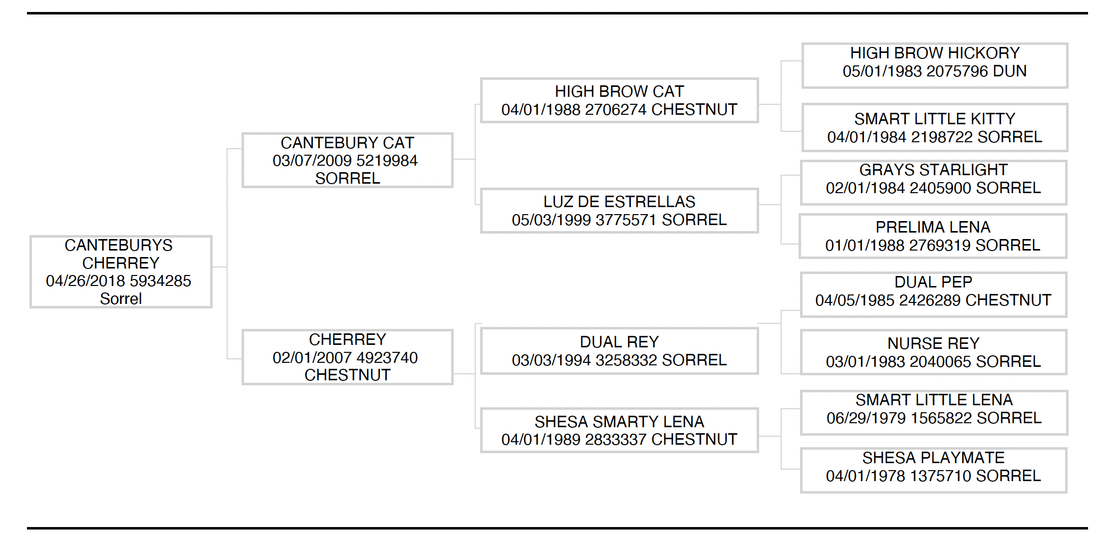 Hunter Koch's Canteburys Cherrey, aka Crypto