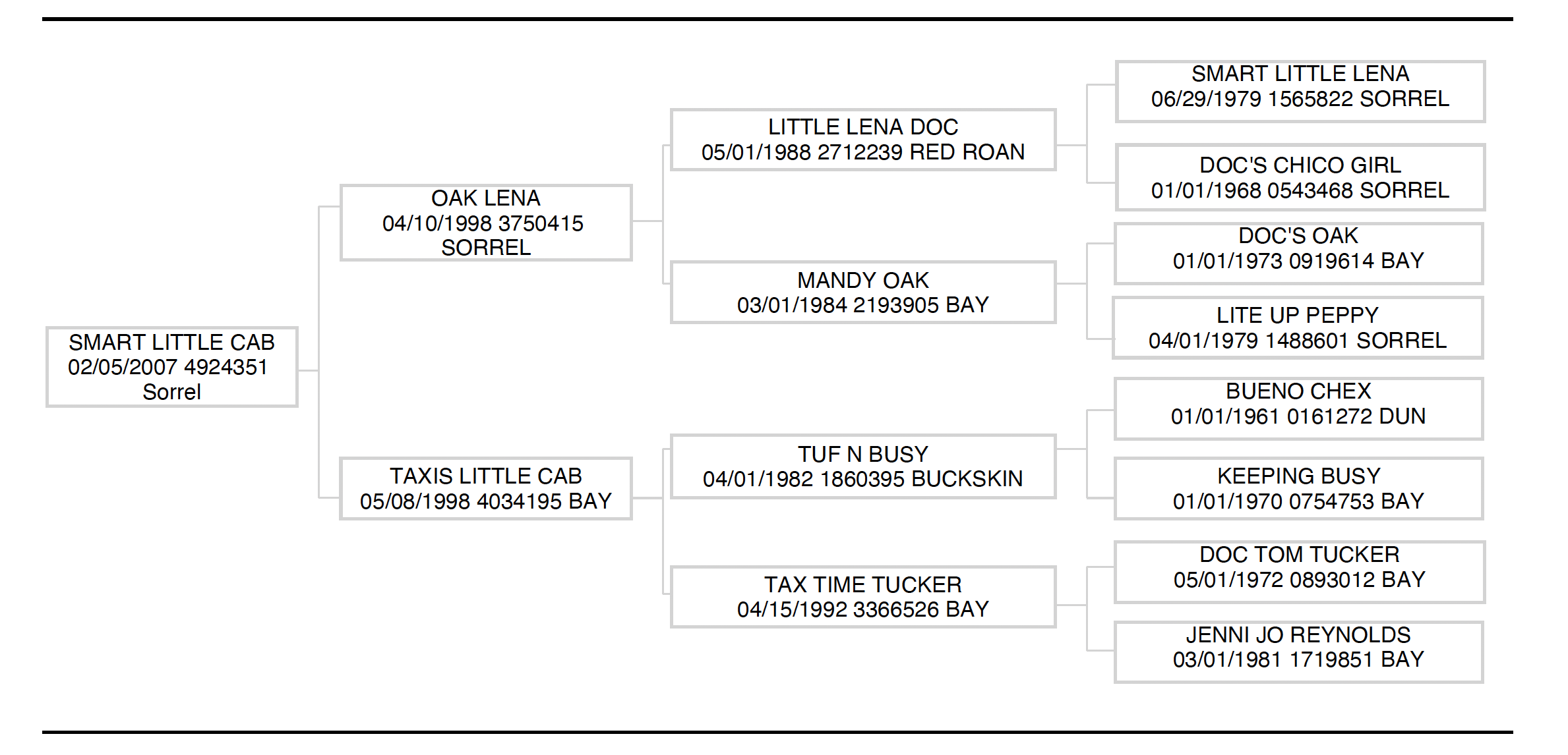 Hunter Koch's Smart Little Cab—aka Casino