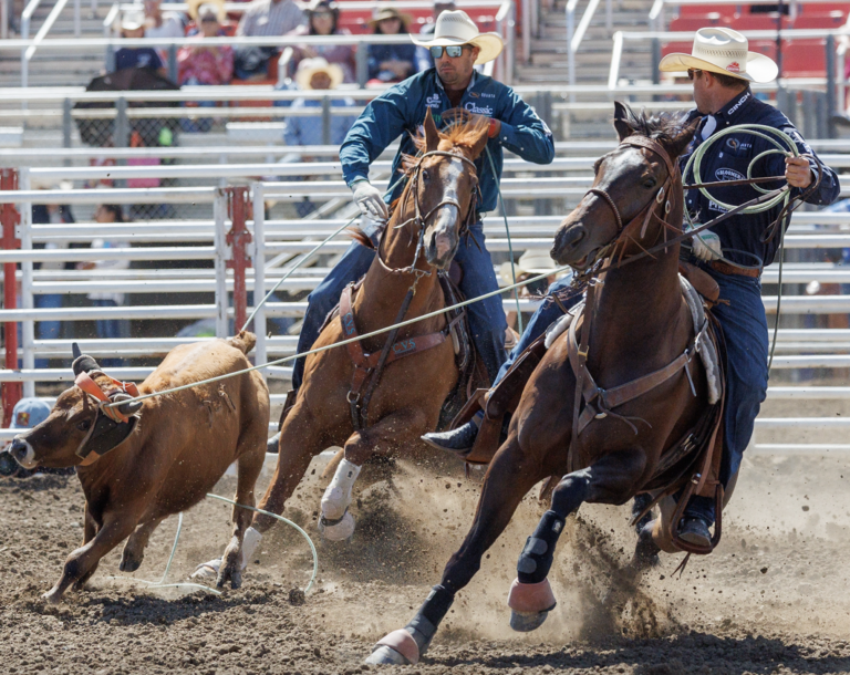 TRJ_Reys-Smokin-Dually-cropped_2023BreedersGuide_PhilDoyle_Jan2023