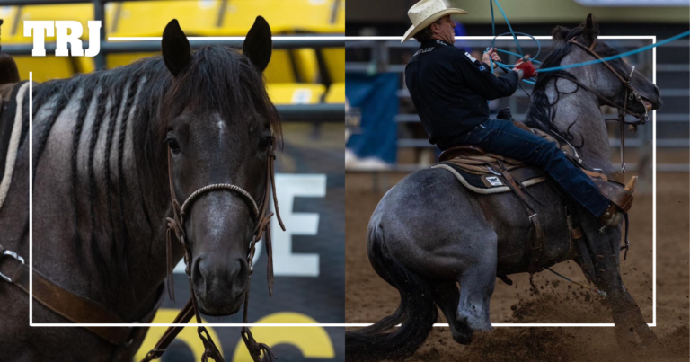 Trevor Brazile and The Darkk Side