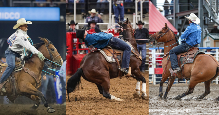Heel Horse of the Year